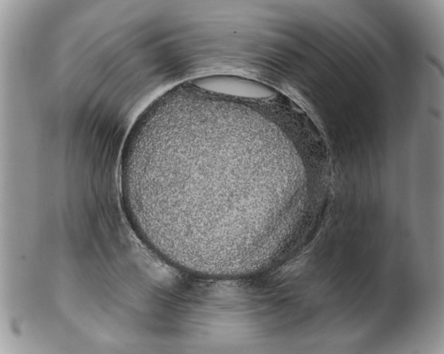 X0000099491028200806051054