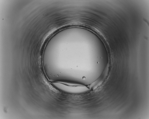 X0000099491029200806051054