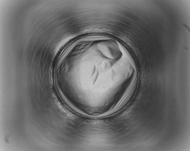 X0000099491030200806051054