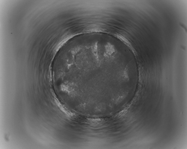 X0000099491031200806051054