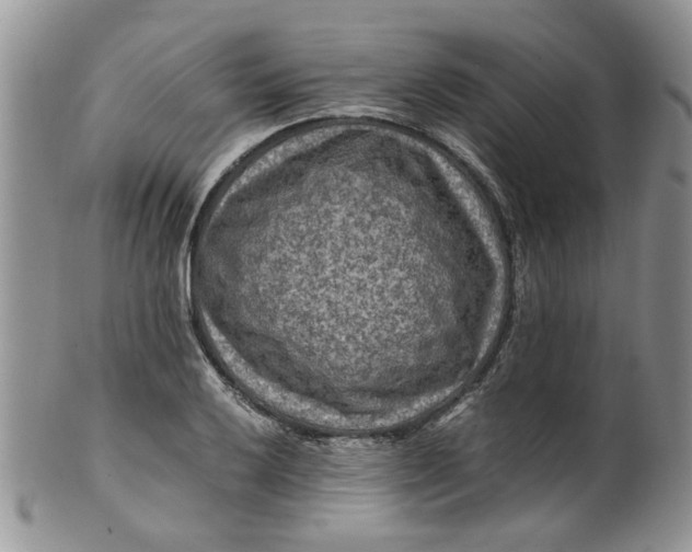 X0000099491032200806051054