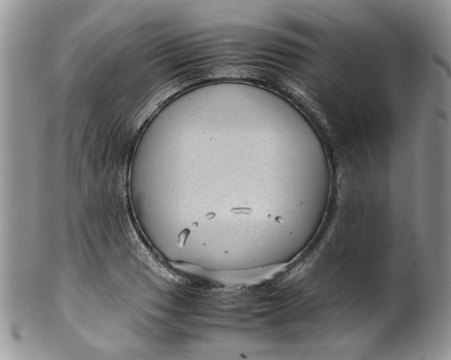 X0000099491033200806051054