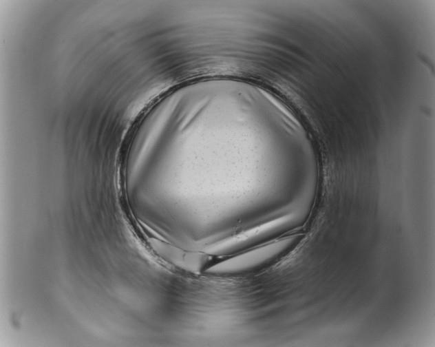 X0000099491034200806051054