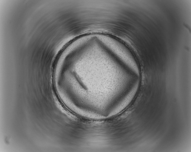 X0000099491038200806051054