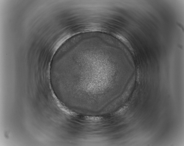 X0000099491039200806051054