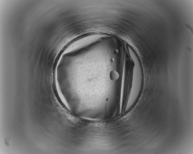 X0000099491040200806051054