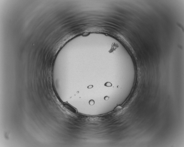 X0000099491041200806051054