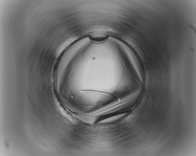 X0000099491042200806051054