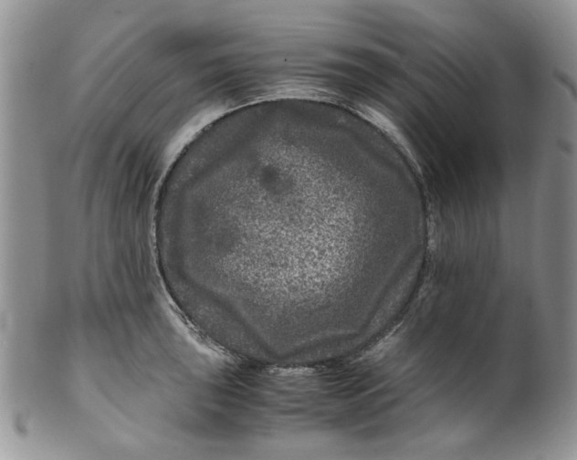 X0000099491043200806051054