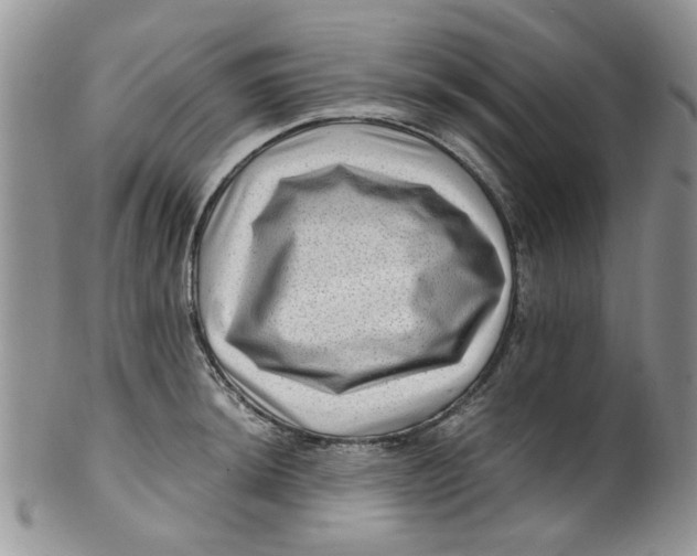 X0000099491044200806051054