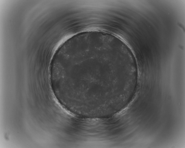 X0000099491045200806051054