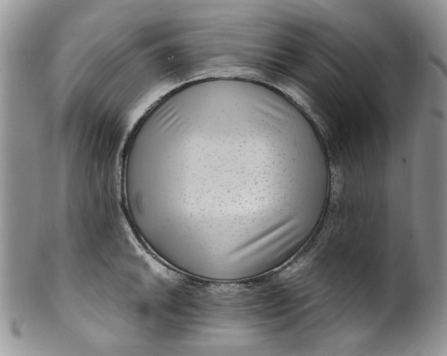 X0000099491046200806051054