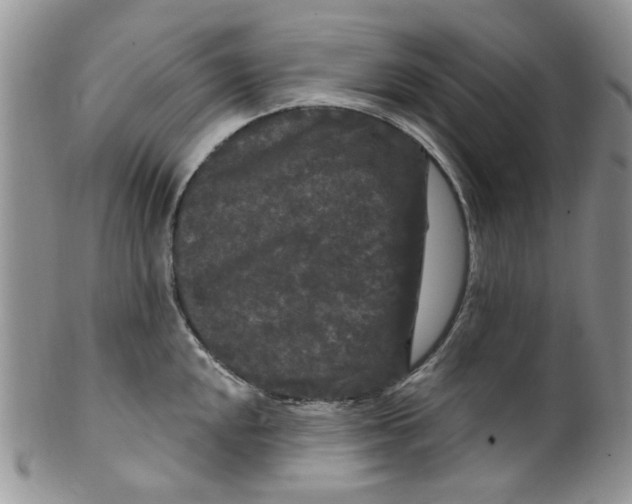 X0000099491048200806051054