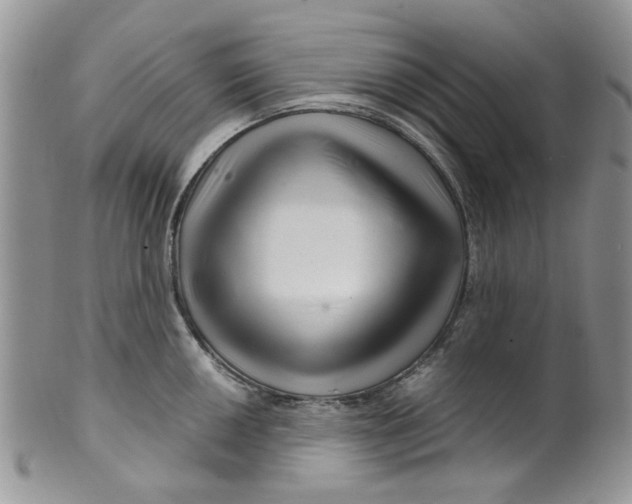 X0000099491050200806051054