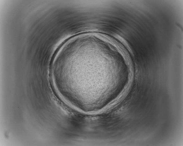 X0000099491051200806051054