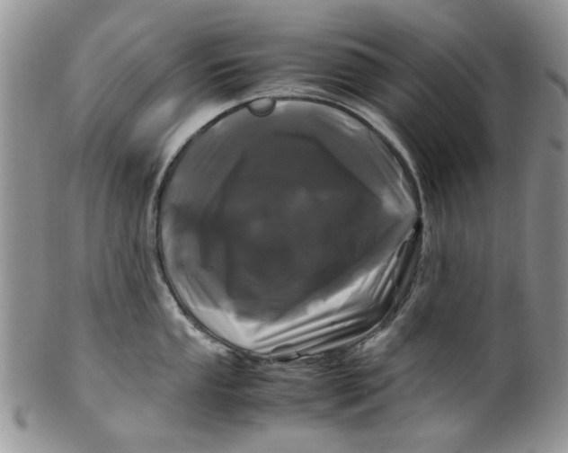 X0000099491053200806051054