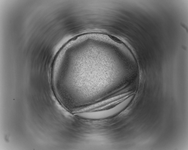 X0000099491054200806051054