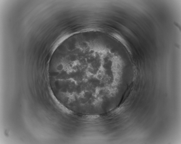 X0000099491055200806051054