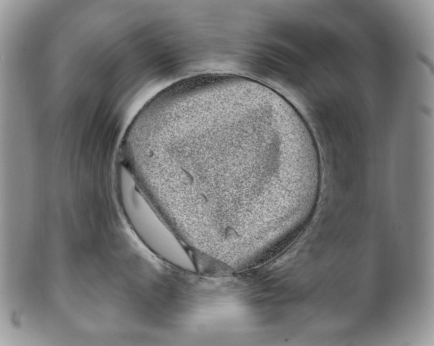 X0000099491056200806051054