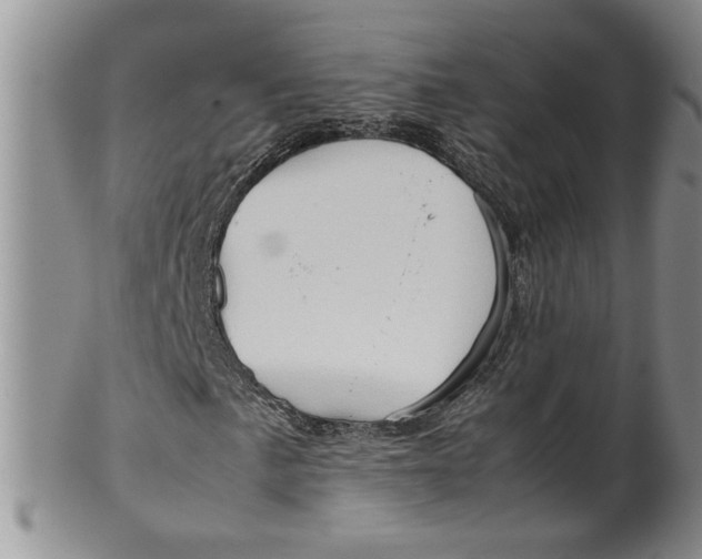 X0000099491057200806051053