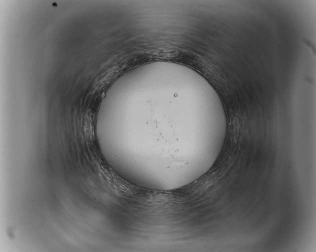 X0000099491058200806051053