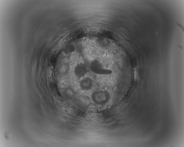 X0000099491059200806051053