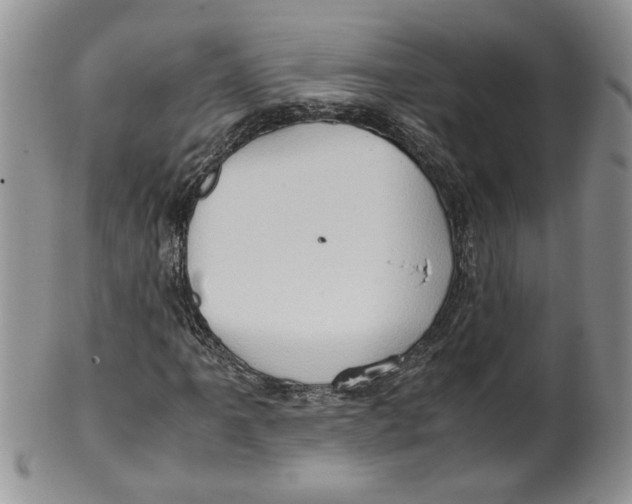 X0000099491061200806051053