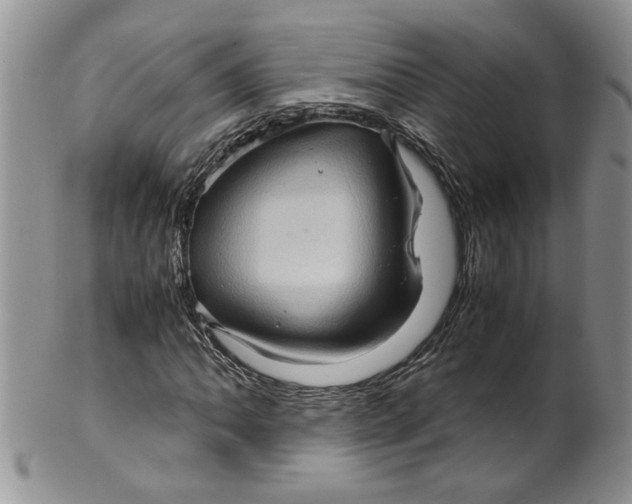 X0000099491062200806051053