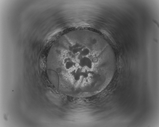 X0000099491063200806051053