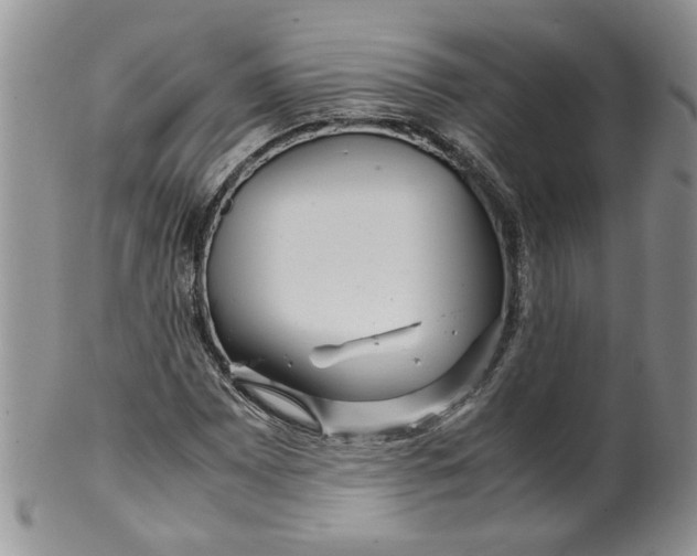 X0000099491065200806051053