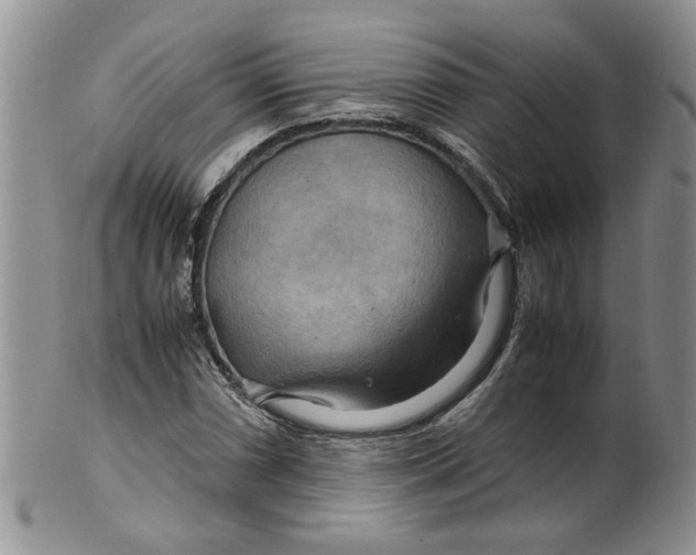 X0000099491066200806051053