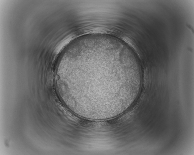 X0000099491067200806051053