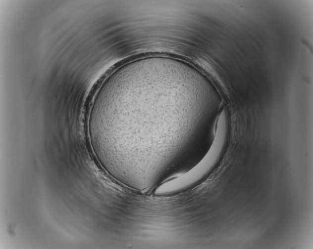 X0000099491068200806051053