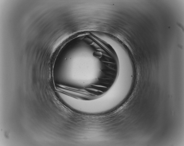 X0000099491069200806051053