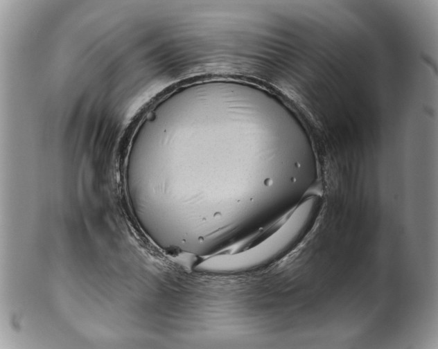 X0000099491070200806051053