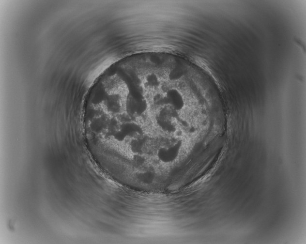 X0000099491071200806051053