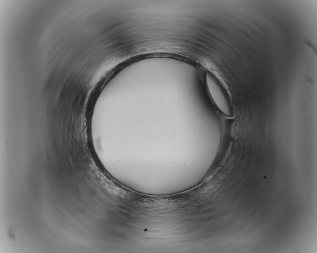 X0000099491072200806051053