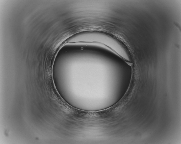 X0000099491073200806051053