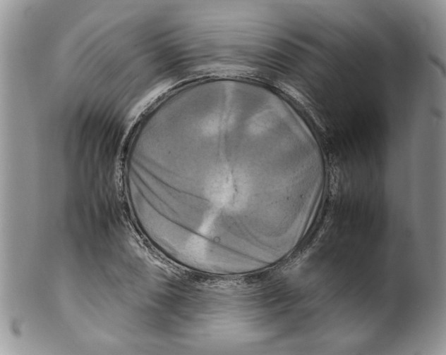 X0000099491074200806051053