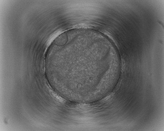 X0000099491075200806051053