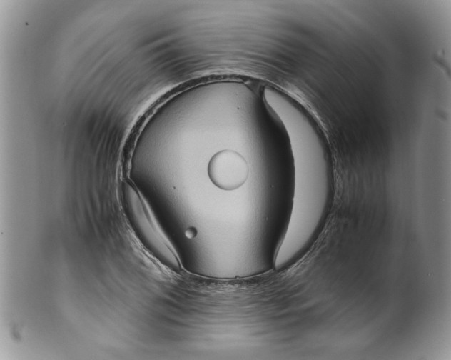 X0000099491076200806051053