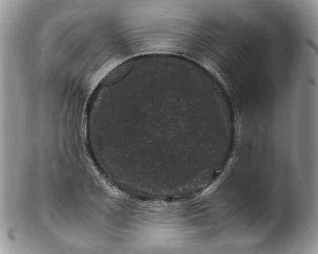 X0000099491077200806051053