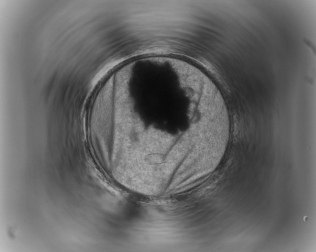 X0000099491078200806051053