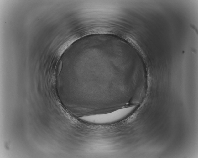 X0000099491081200806051053