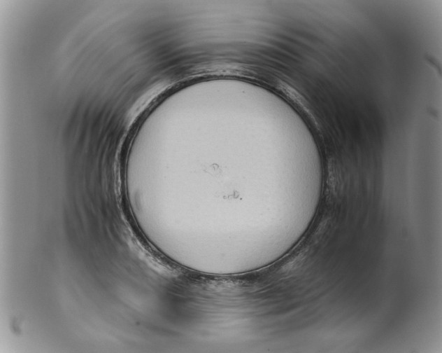 X0000099491082200806051053