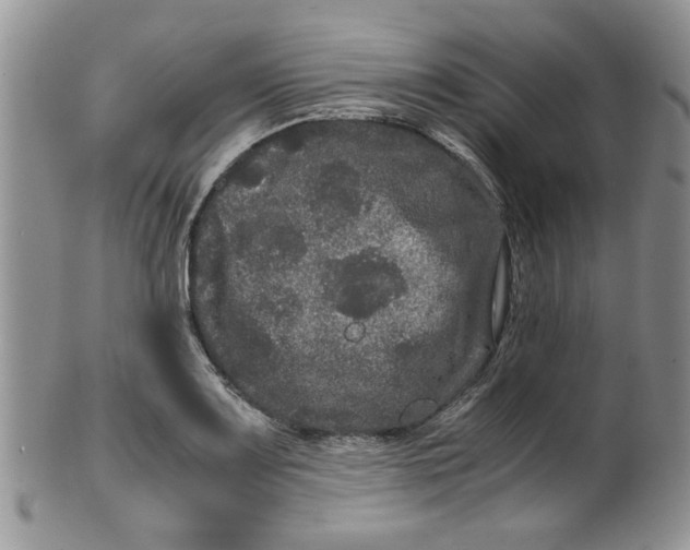 X0000099491083200806051053