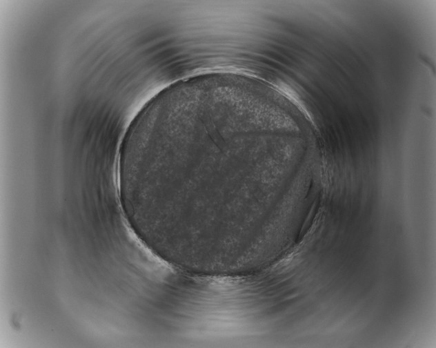 X0000099491084200806051053