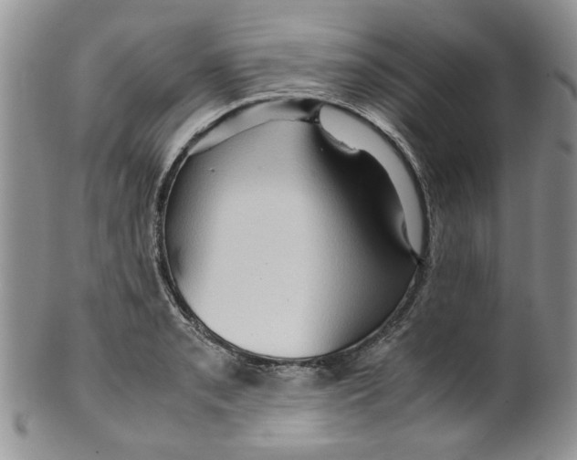 X0000099491085200806051053