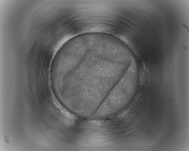 X0000099491086200806051053