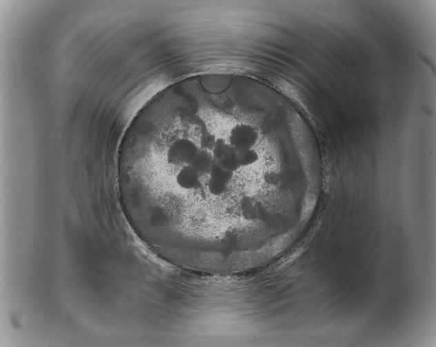 X0000099491087200806051053